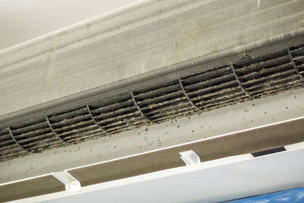 Best Commercial Air Duct Cleaning  in Urbana, IL